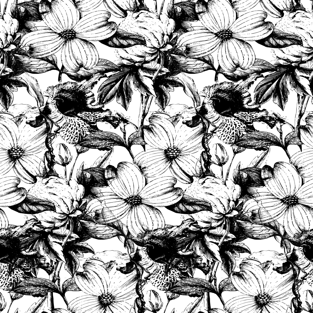 kinolanka web development solutions